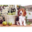 Пъзел - Puppy with Apples