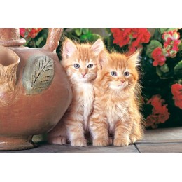 Пъзел - Red Kittens