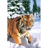 Пъзел - Winter Syberian Tiger