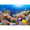 Пъзел - Coral Reef Fishes
