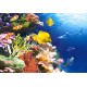 Пъзел - Coral Reef