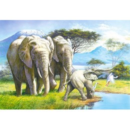 Пъзел - Elephant Family