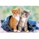 Пъзел - Two Kittens in Jeans