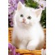 Пъзел - White Kitten in Basket