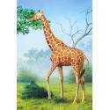 Пъзел - Giraffe