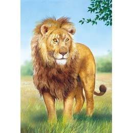 Пъзел - Lion