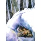 Приказка за малък Мечо или кога Зайо спи зимен сън