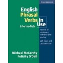 English Phrasal Verbs in Use. Intermediate Book