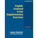 English Grammar in Use Supplementary Exercises 